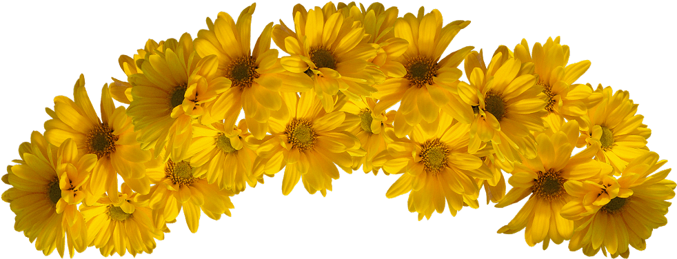 Flower Crown Transparent Background - Yellow Flower Crown Transparent (1084x650)