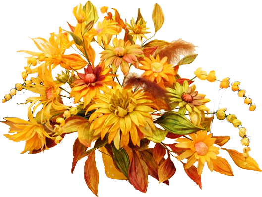 Осенние Цветы На Прозрачном Фоне (540x412)