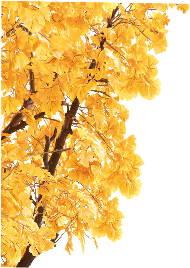 Xiaoshu Dashu Autumn Liqiu Solar Term - Autumn (723x984)