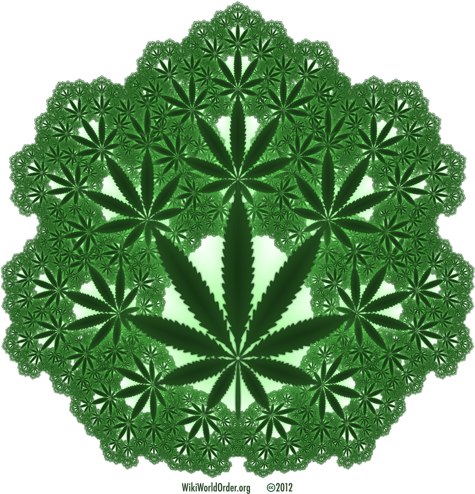 Canna Fractal 1000×1000 Glow Transparent - Fractal Transparent Background (1000x1000)