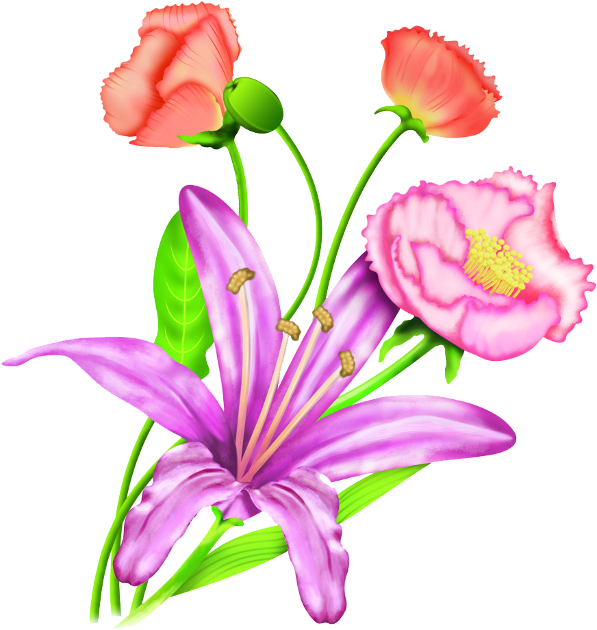 Hand-painted Lily Carnation Flowers - Lily (1024x1050)