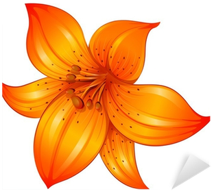Lily Flower Vector (400x400)