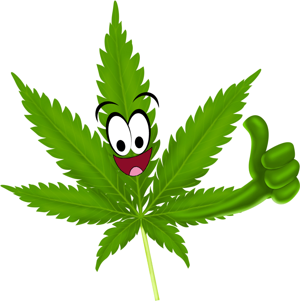 Drugs And Gum Diseases - Weed Plant Transparent (1024x1024)