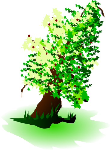 Apple Tree Oil Painting Vector Graphics - صورة شجرة الزيتون كرتون (366x500)