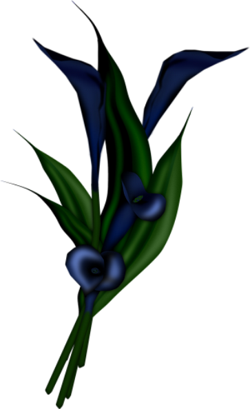 Image Du Blog Zezete2 - Flower (363x594)