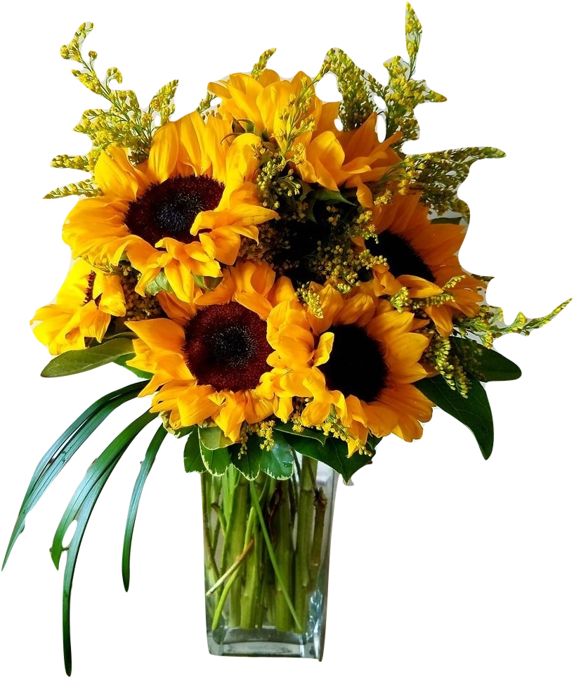 Autumn Sun - Feliz Cumpleaños Rosas Preciosas (896x1060)