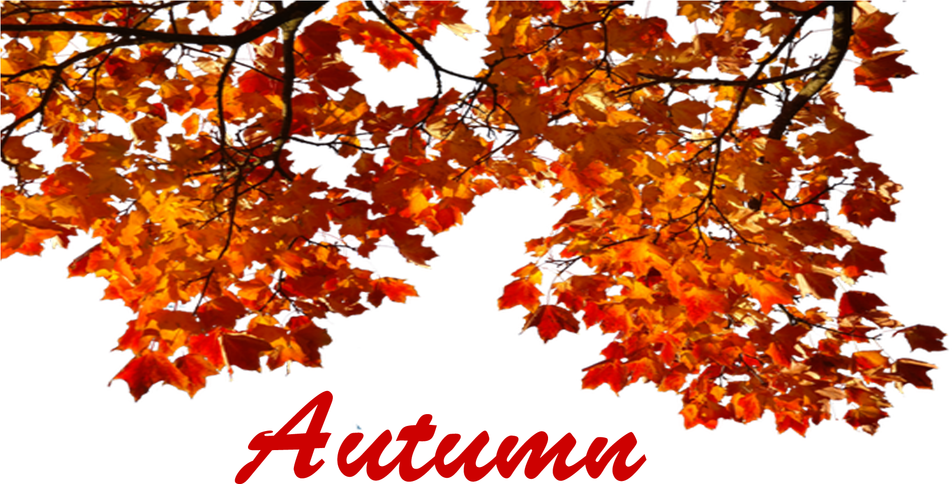 Autumn Leaves Png Picture - Autumn (1920x1200)