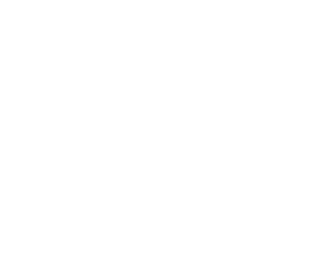 Dhont Deinze Tel - Opel Logo Weiß (500x387)