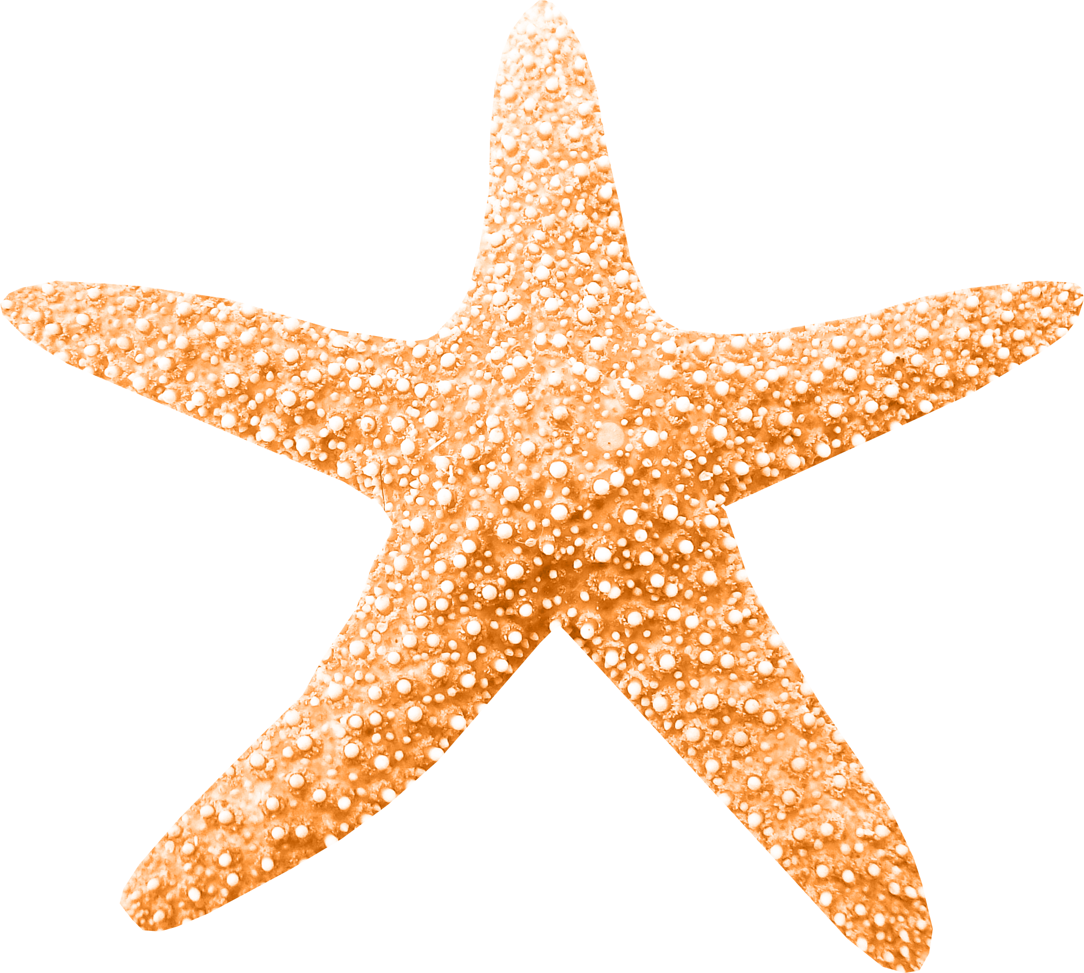 Clip Art - Starfish - Clip Art - Starfish (2187x1963)