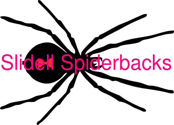 Black Widow Spider Red Spot (600x434)