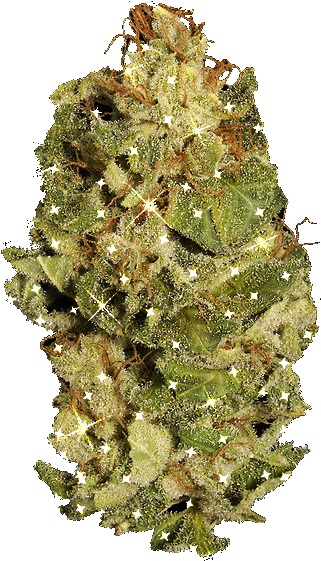 Marijuana Clipart Animated - Weed Gif Transparent (498x750)