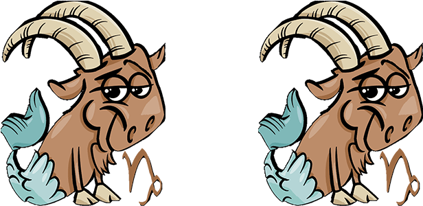 Capricorn Compatibility With Capricorn (750x300)
