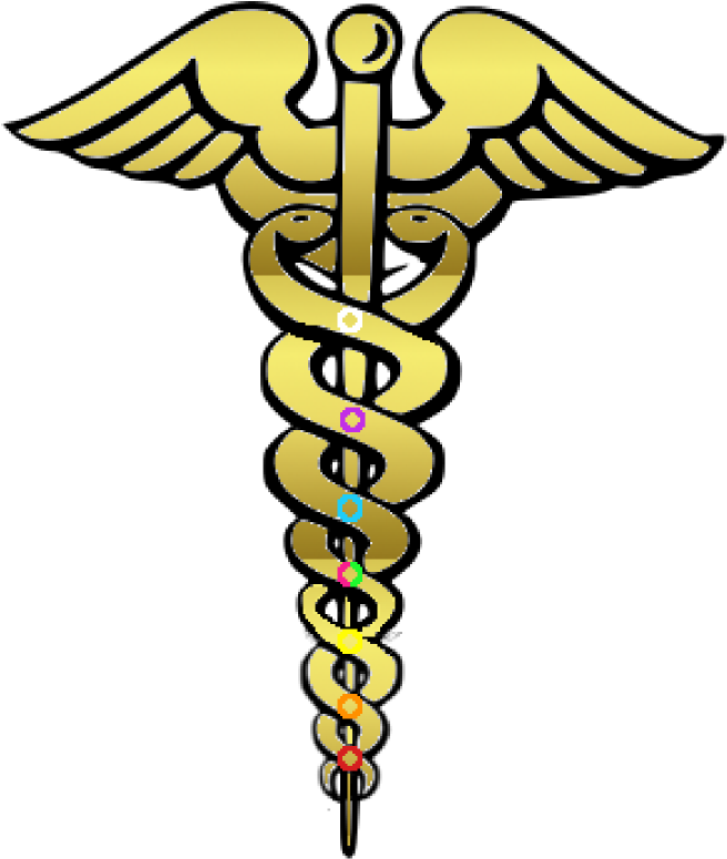Clipart - Color Caduceus - Medical Logo White Png (672x800)