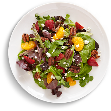 Click The Link And Apply For A Life Changing Breakthrough - Mobile App (360x360)