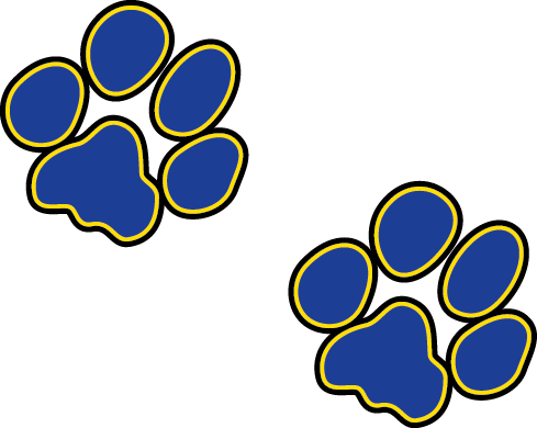 Academy Of The Arts - Academy Of The Arts (489x390)