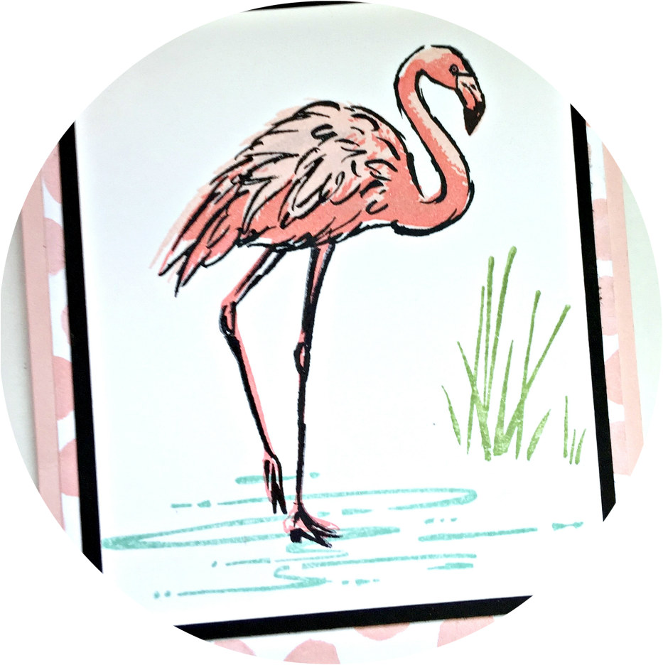 Fabulous Flamingo Stampin Up - Stampin Upfabulous Flamingo (964x991)