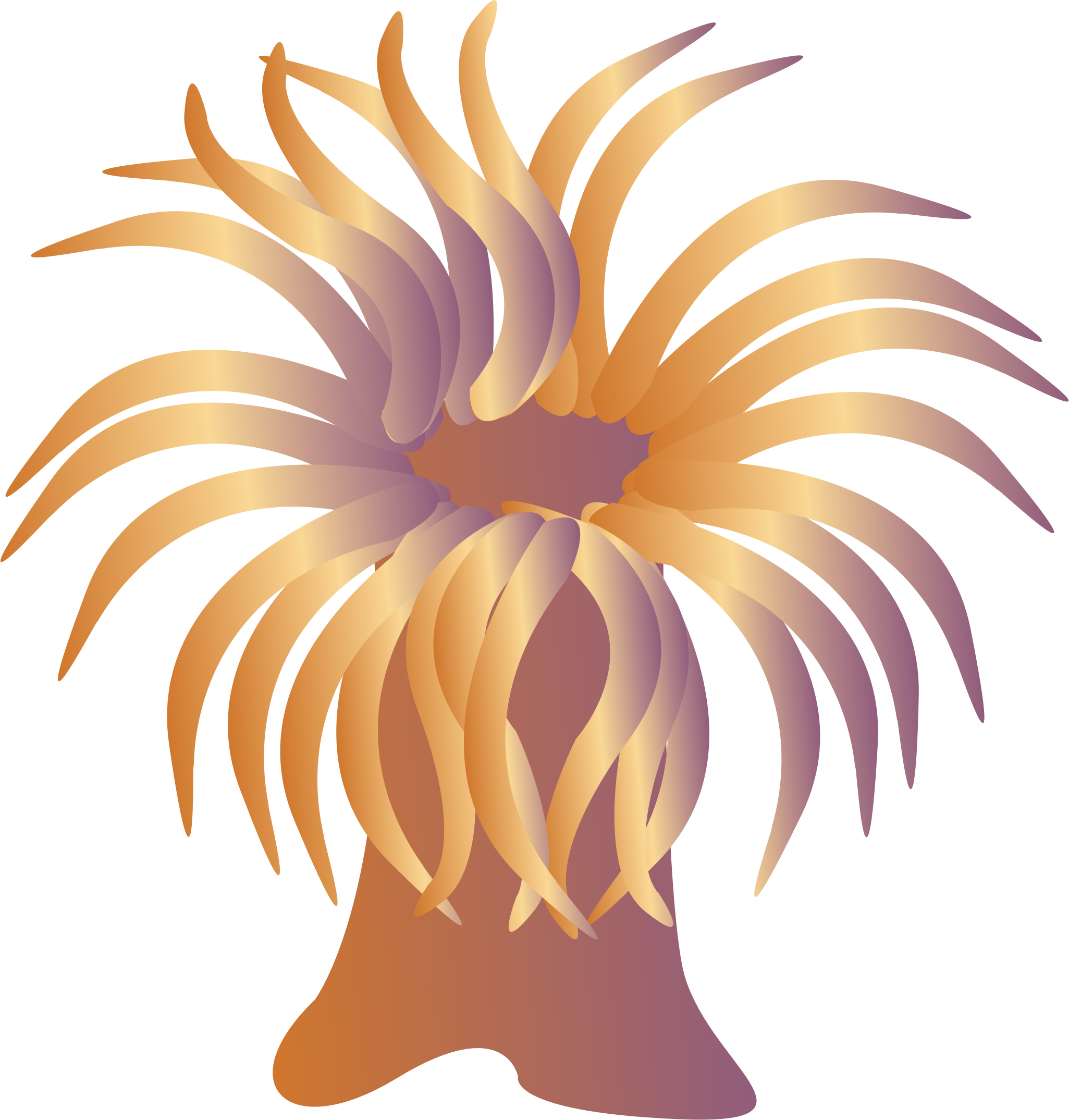 Sea Anemone Clipart - Sea Anemone Clipart (2051x2149)