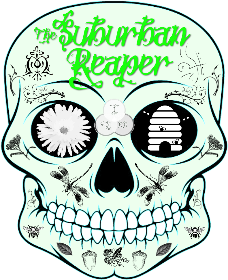 What Do You Think About My New Logo It Was A Collaboration - Skull (838x1024)