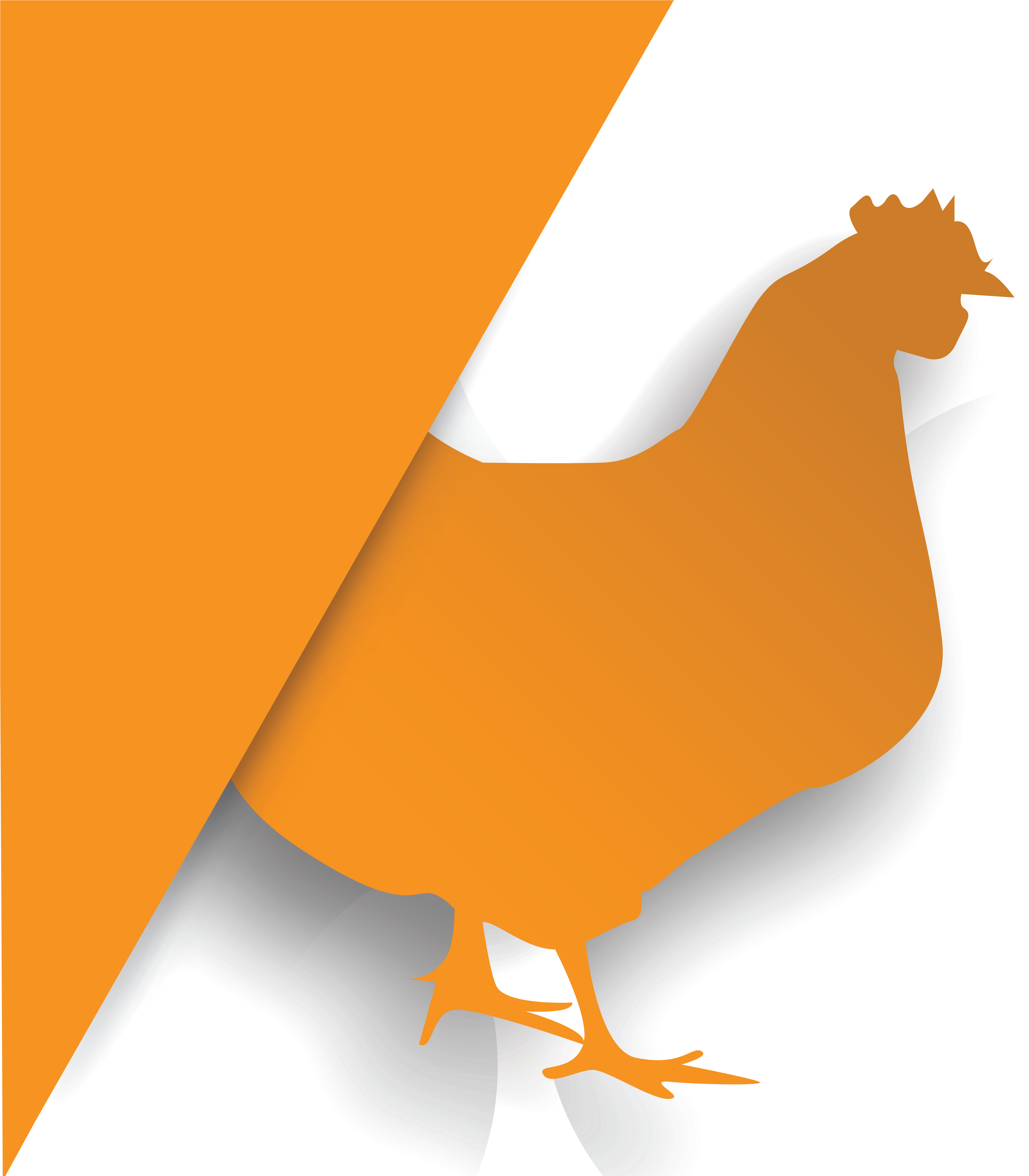 Bactogene - Gene (5023x5023)