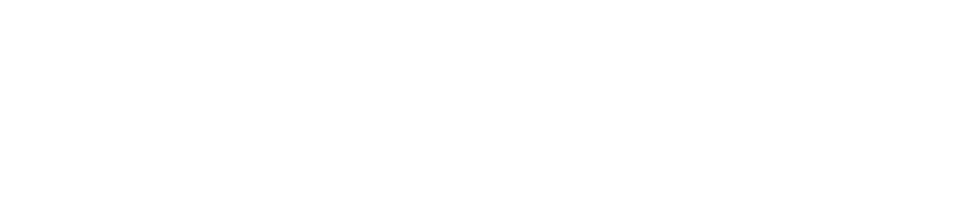 Jetbone Logotype In Png - Jetbone - Magical Ride (1938x418)