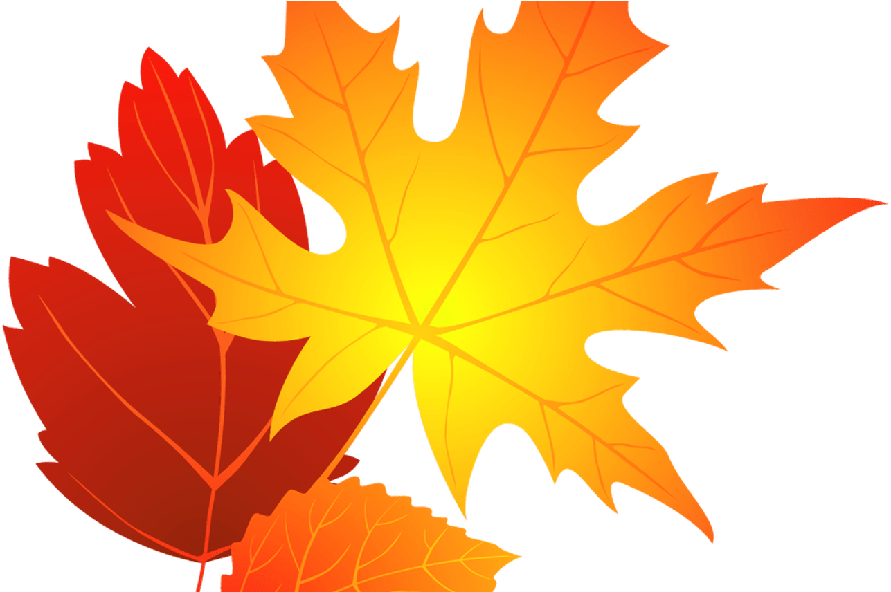 Free Fall Background Clipart, Download Free Clip Art, - Clip Art Autumn Leave (1368x855)