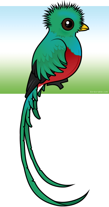 Cute Resplendent Quetzal By Birdorable < Meet The Birds - Quetzal Animado (360x680)