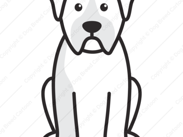 Cartoon Dog Pic - Alapaha Blaues Blut-bulldoggen-cartoon Karte (640x480)