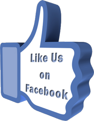 Like Us On Facebook Emblem Png Logo - Like Us On Facebook 3d (313x400)
