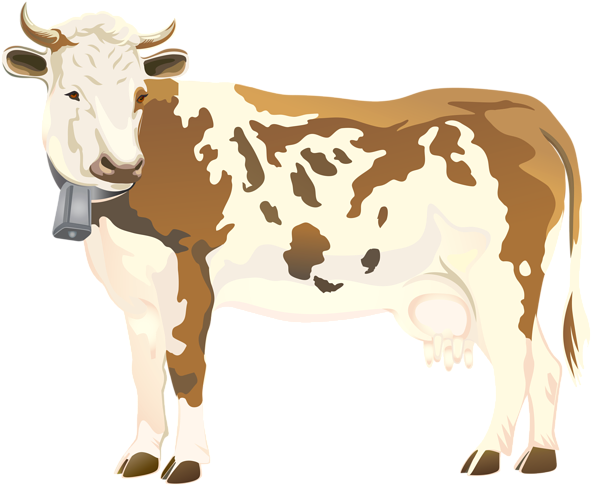 Cow Png Clip Art Image - Cow Png Clip Art (600x492)