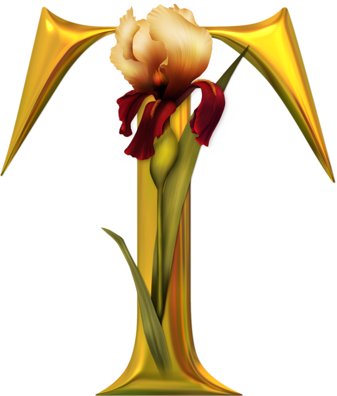 Alpha Iris - Beautiful Alphabets T (680x800)