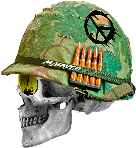 Human Skull Side View (453x576)