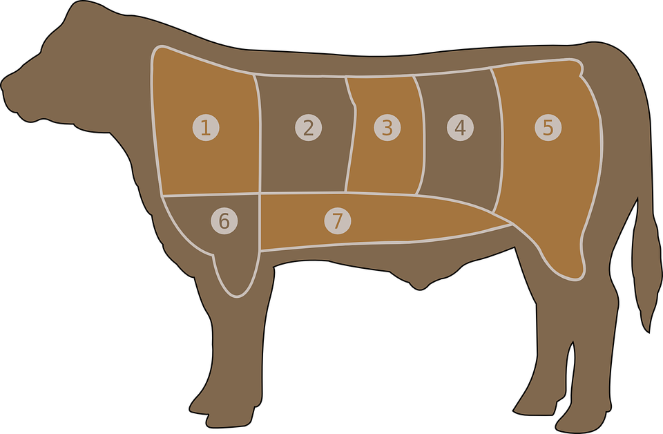 Meat Clipart Cow Meat - Outline Of A Beef Cow (960x628)