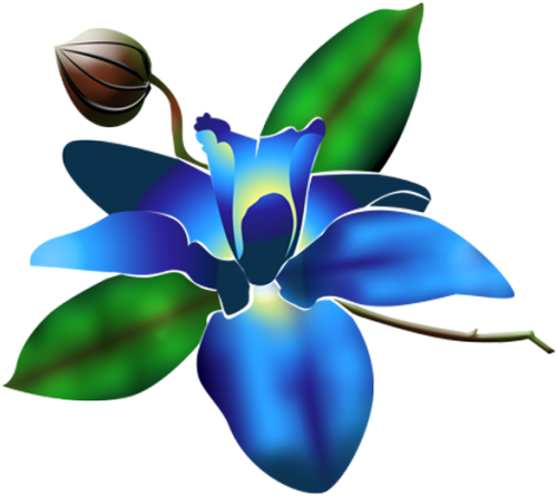 Blue Orchid (512x512)