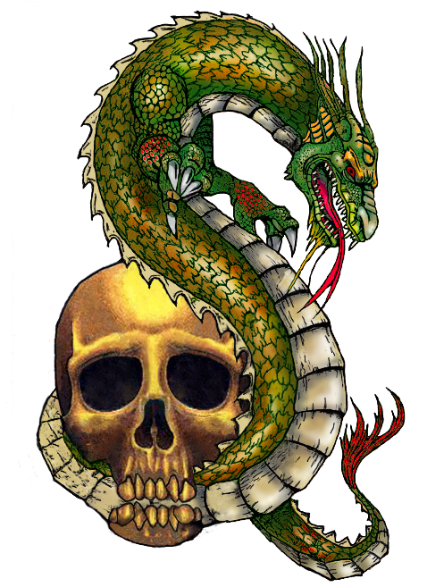 Mersea Island Tattoo Dragon Skull T-shirt - Dragon And Skull Png (516x744)