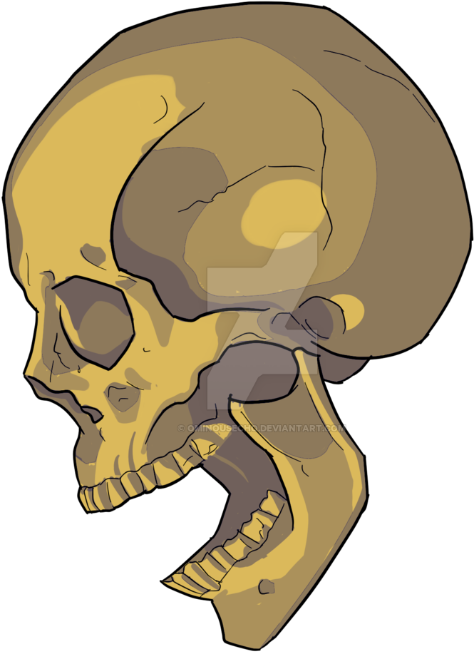 Cell Shaded Skull By Ominousecho On Deviantart - Cel Shaded Skull (1024x1014)