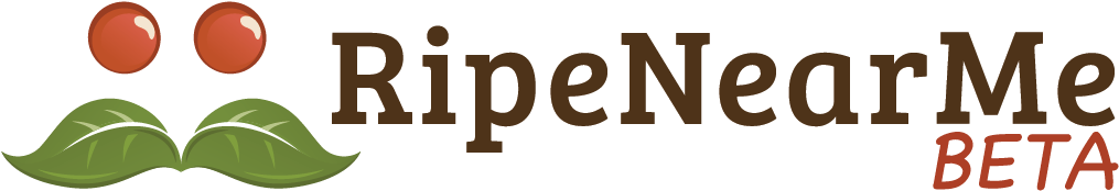 We Were Founded By Alistair Martin And Helena Martin - Graphic Design (1063x274)