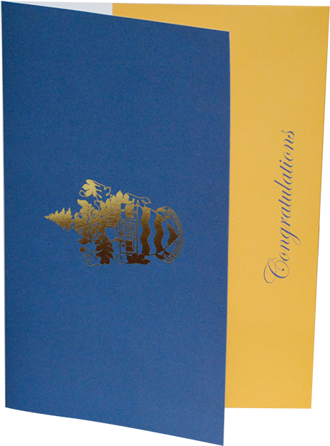 Order Online Now - Book Cover (500x661)