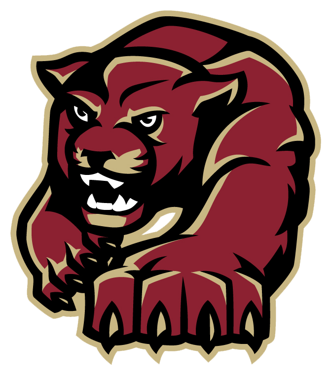 Paint Branch Panthers - Paint Branch High School Mascot (740x779)