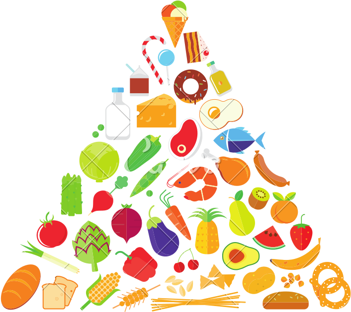 Flat Design Of Food Pyramid - Food Pyramid (800x800)