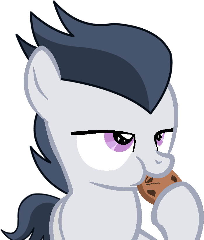 Dreamcasterpegasus, Base Used, Cookie, Eating, Food, - Chocolate Chip Cookie (720x834)