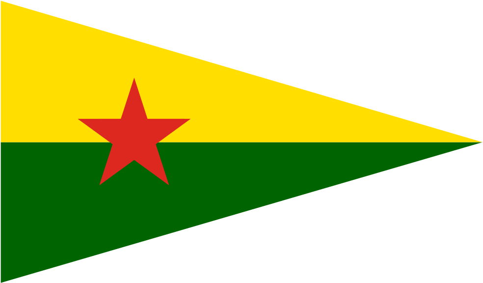 Marxism In The Modern World - Hpg Flag (1000x593)