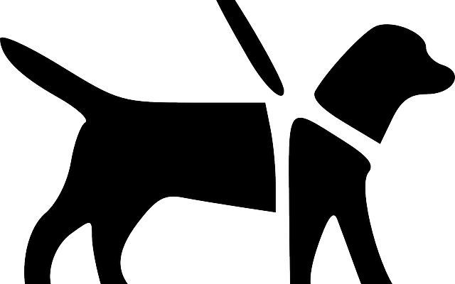 Getting A Service Dog For Fibromyalgia - Guide Dog Clip Art (640x400)