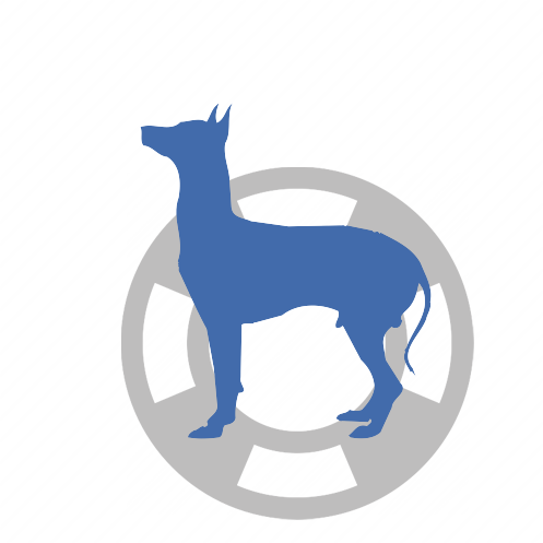 For Physically Disabled Veterans, Service Dogs Are - Dog (497x497)