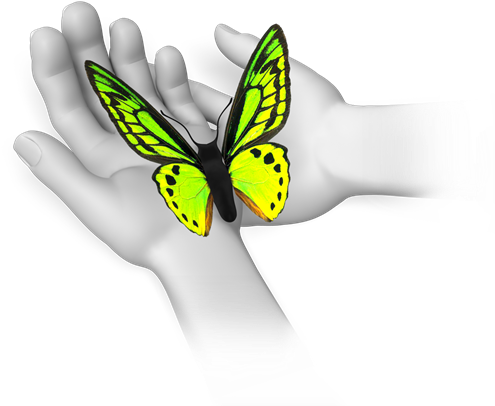Field Trips - Flying Butterfly Animation For Powerpoint (500x472)