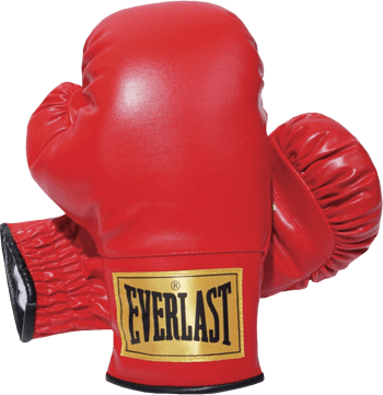 Everlast Boxing Gloves - Boxing Gloves Png (350x361)