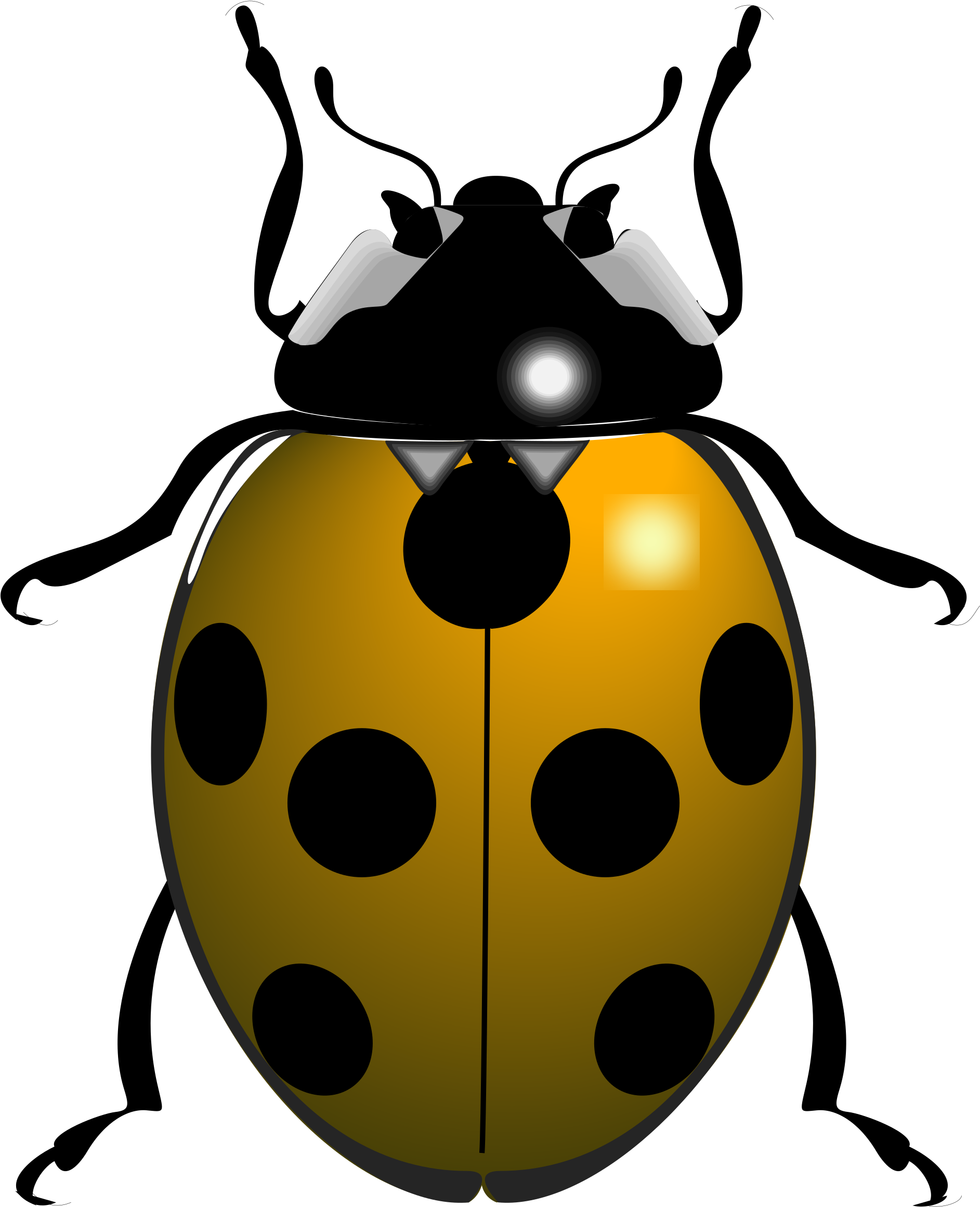 Big Image - Black And White Ladybird (1932x2400)