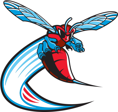 Delaware State Athletics Logo (500x500)