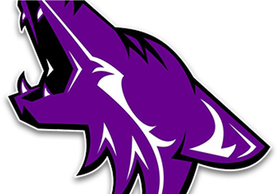 South Dakota Coyotes Football Big South League College - South Dakota Coyotes Football (1200x630)