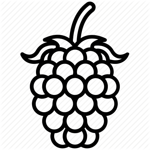 Raspberry - Black Berry Fruit Sketch (512x512)