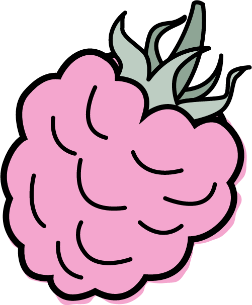 Fresh Raspberry Sorbet - Fresh Raspberry Sorbet (501x607)